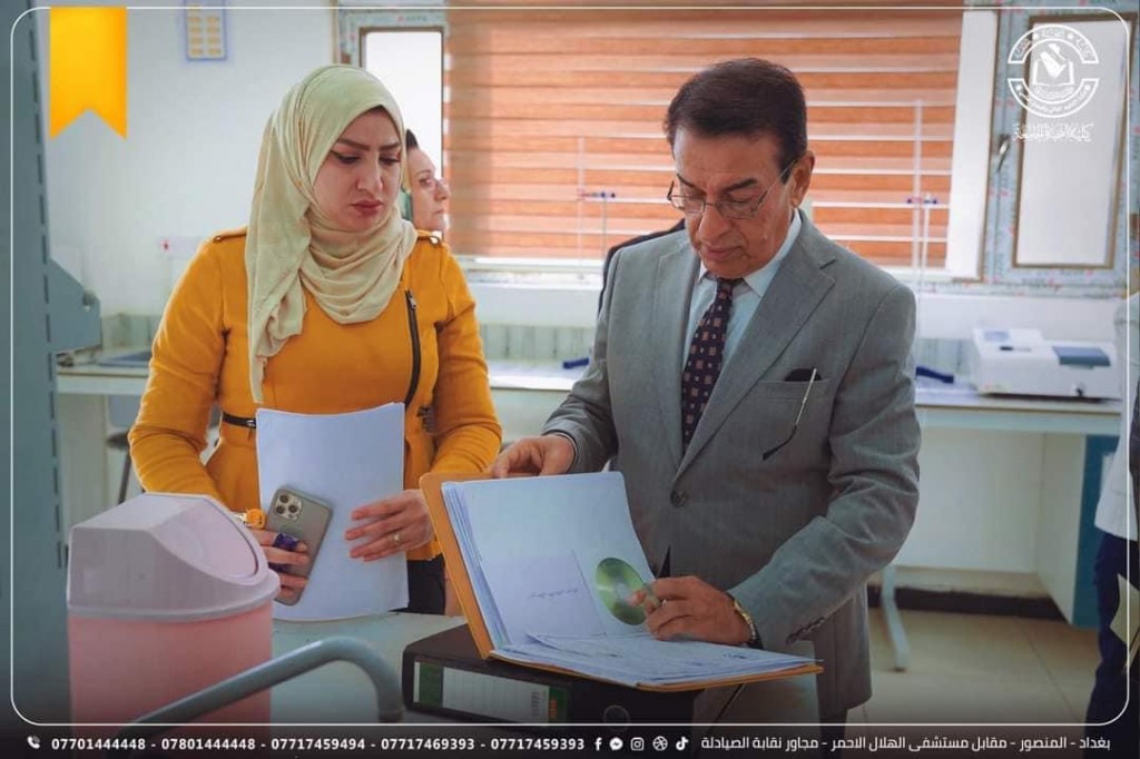لجنة الفريق الوزاري 