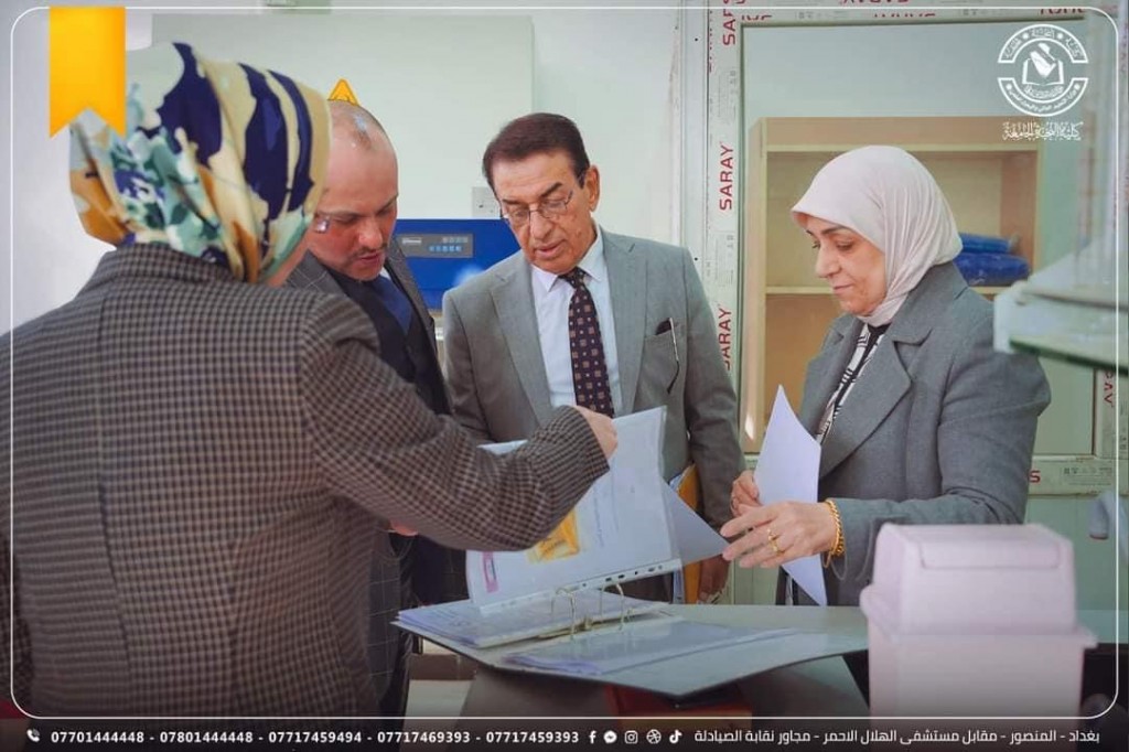 لجنة الفريق الوزاري 