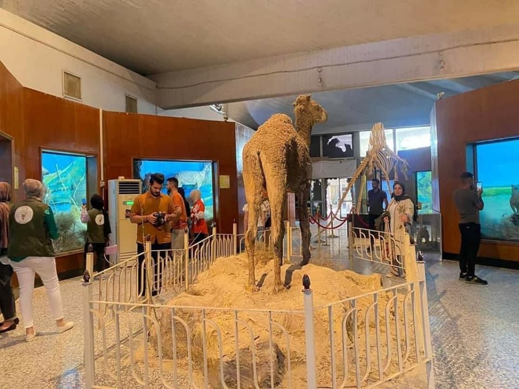 زيارة فريق همم بايولوجية الى متحف التاريخ الطبيعي 