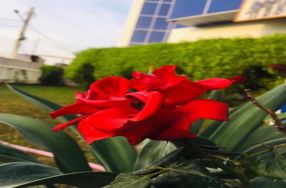 كل صباح جديد هو عباره عن تقدم وانجاز فأجعله � ...